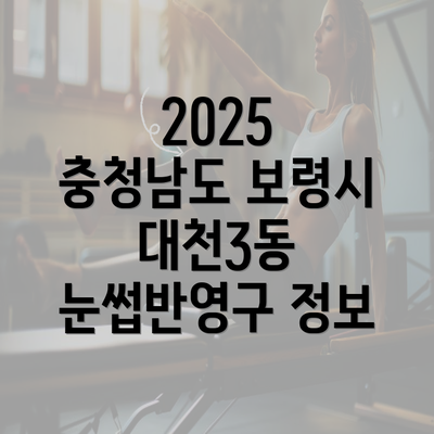 2025 충청남도 보령시 대천3동 눈썹반영구 정보