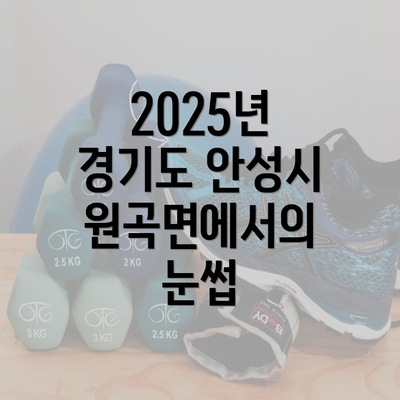 2025년 경기도 안성시 원곡면에서의 눈썹