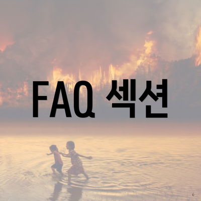 FAQ 섹션