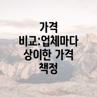 가격 비교:업체마다 상이한 가격 책정