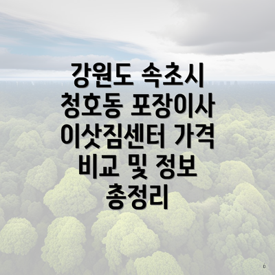 강원도 속초시 청호동 포장이사 이삿짐센터 가격 비교 및 정보 총정리