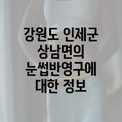 강원도 인제군 상남면의 눈썹반영구에 대한 정보