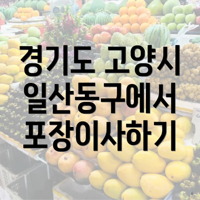 경기도 고양시 일산동구에서 포장이사하기