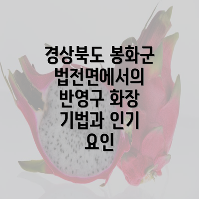 경상북도 봉화군 법전면에서의 반영구 화장 기법과 인기 요인