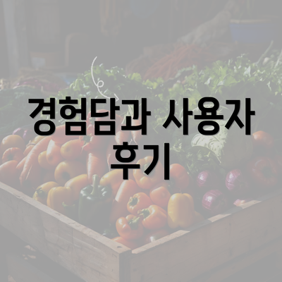 경험담과 사용자 후기