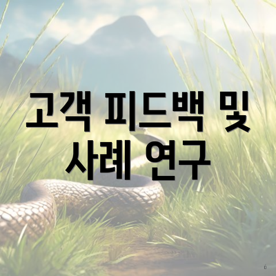 고객 피드백 및 사례 연구