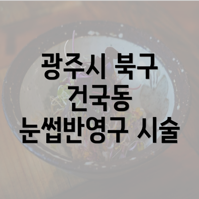 광주시 북구 건국동 눈썹반영구 시술