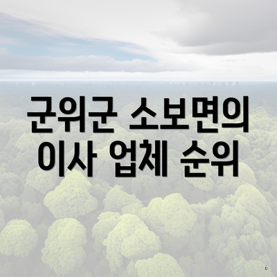 군위군 소보면의 이사 업체 순위