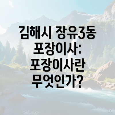 김해시 장유3동 포장이사: 포장이사란 무엇인가?