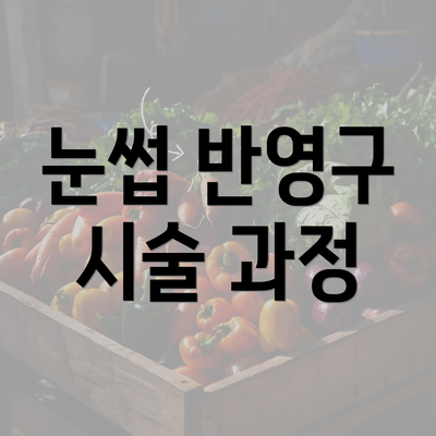 눈썹 반영구 시술 과정