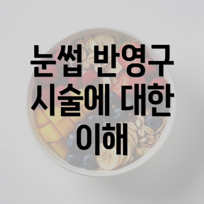 눈썹 반영구 시술에 대한 이해