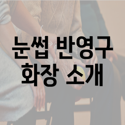 눈썹 반영구 화장 소개