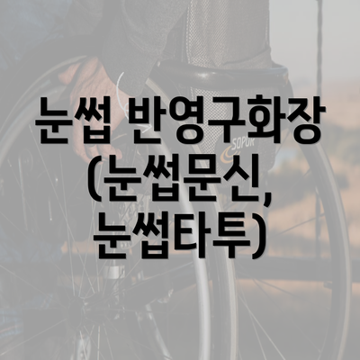 눈썹 반영구화장 (눈썹문신, 눈썹타투)