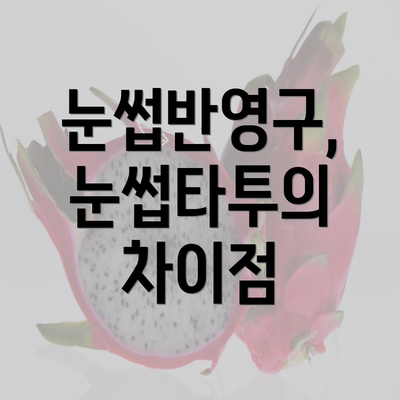 눈썹반영구, 눈썹타투의 차이점