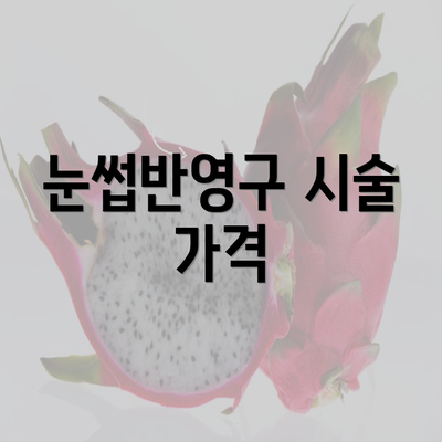 눈썹반영구 시술 가격