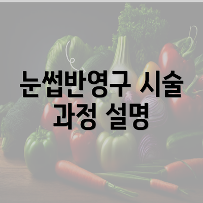 눈썹반영구 시술 과정 설명