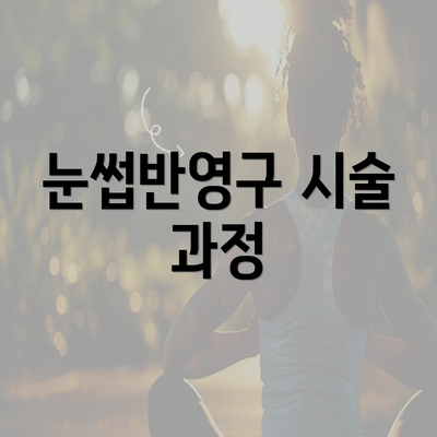 눈썹반영구 시술 과정