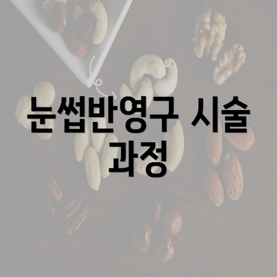 눈썹반영구 시술 과정