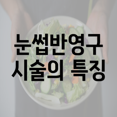 눈썹반영구 시술의 특징