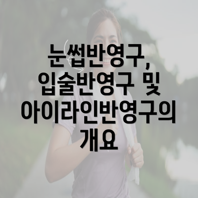 눈썹반영구, 입술반영구 및 아이라인반영구의 개요