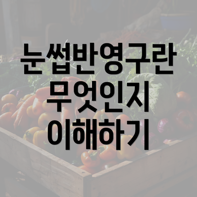 눈썹반영구란 무엇인지 이해하기