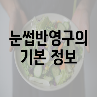 눈썹반영구의 기본 정보