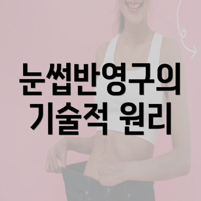 눈썹반영구의 기술적 원리