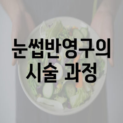 눈썹반영구의 시술 과정