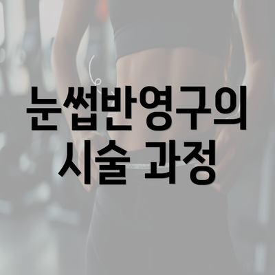 눈썹반영구의 시술 과정