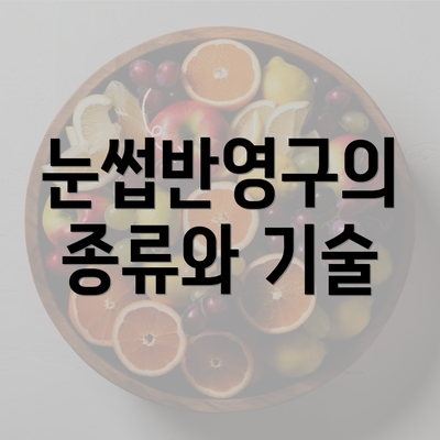 눈썹반영구의 종류와 기술