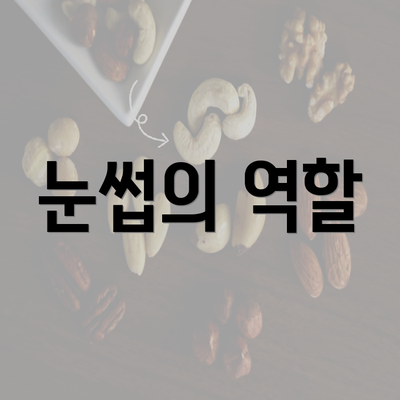 눈썹의 역할