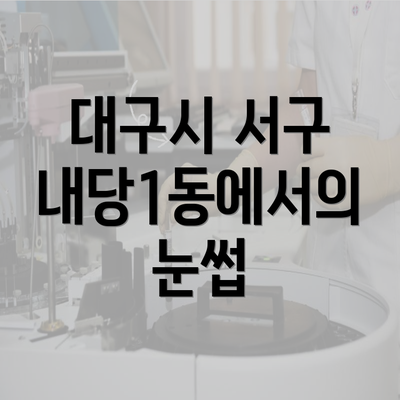 대구시 서구 내당1동에서의 눈썹