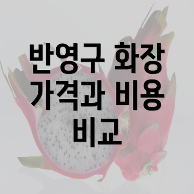 반영구 화장 가격과 비용 비교