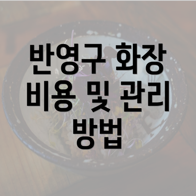 반영구 화장 비용 및 관리 방법