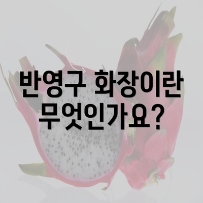 반영구 화장이란 무엇인가요?