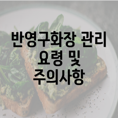 반영구화장 관리 요령 및 주의사항