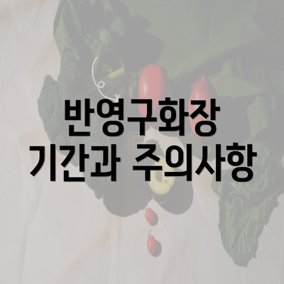 반영구화장 기간과 주의사항