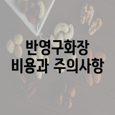 반영구화장 비용과 주의사항