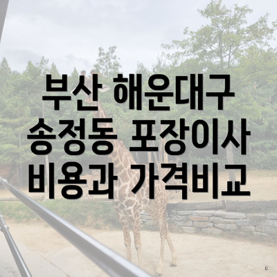 부산 해운대구 송정동 포장이사 비용과 가격비교