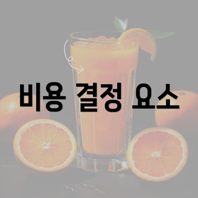 비용 결정 요소