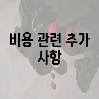 비용 관련 추가 사항