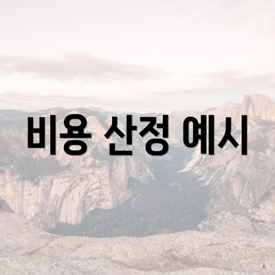 비용 산정 예시