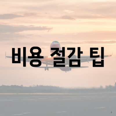 비용 절감 팁