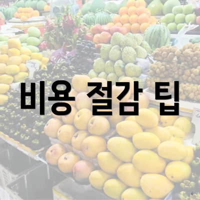 비용 절감 팁