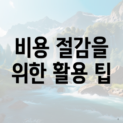 비용 절감을 위한 활용 팁