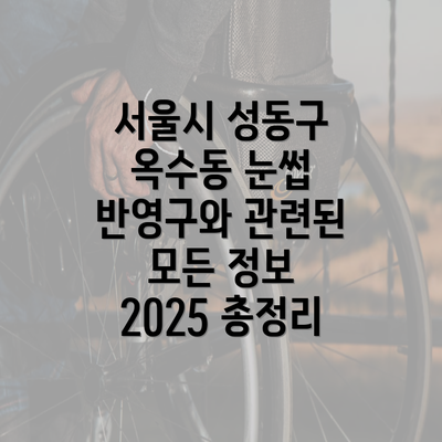 서울시 성동구 옥수동 눈썹 반영구와 관련된 모든 정보 2025 총정리