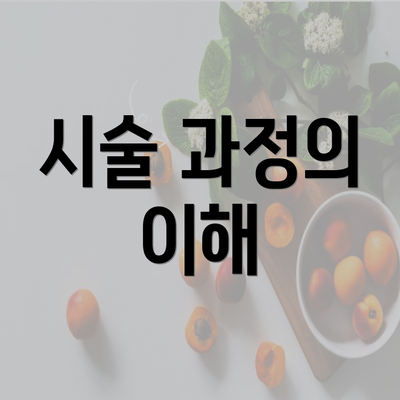 시술 과정의 이해