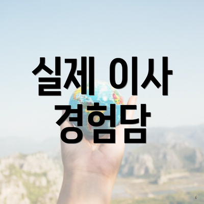 실제 이사 경험담