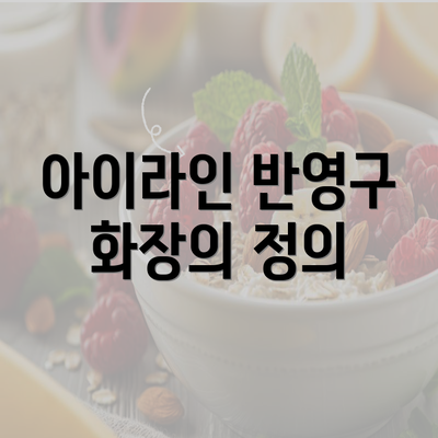 아이라인 반영구 화장의 정의