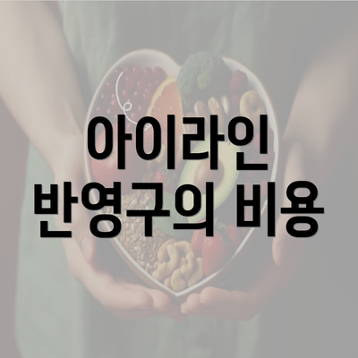 아이라인 반영구의 비용